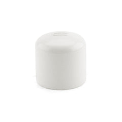 PVC (Sch 40) Cap, Various Sizes
