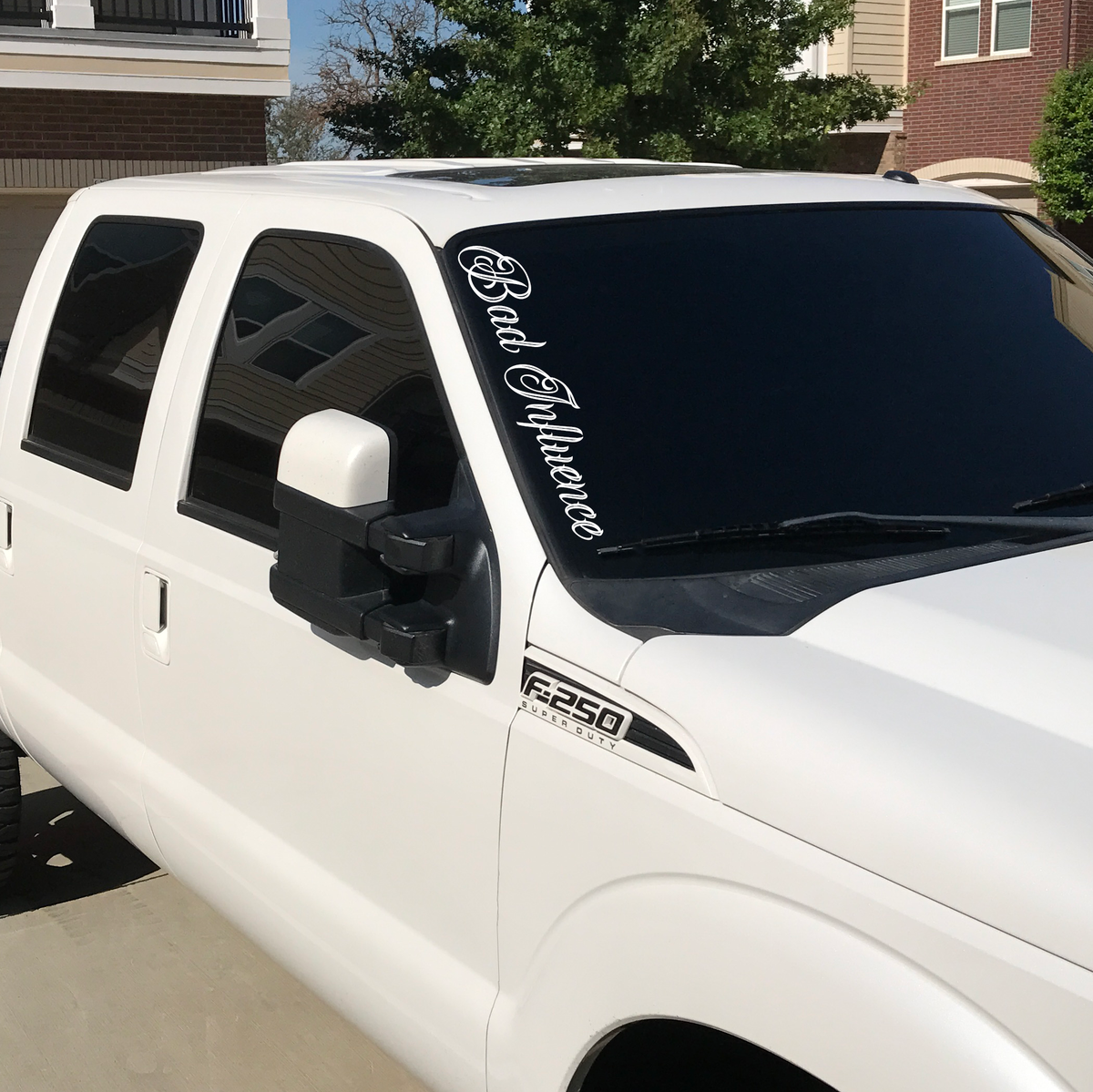 Bad Influence Banner Decal