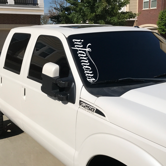 Infamous Banner Decal